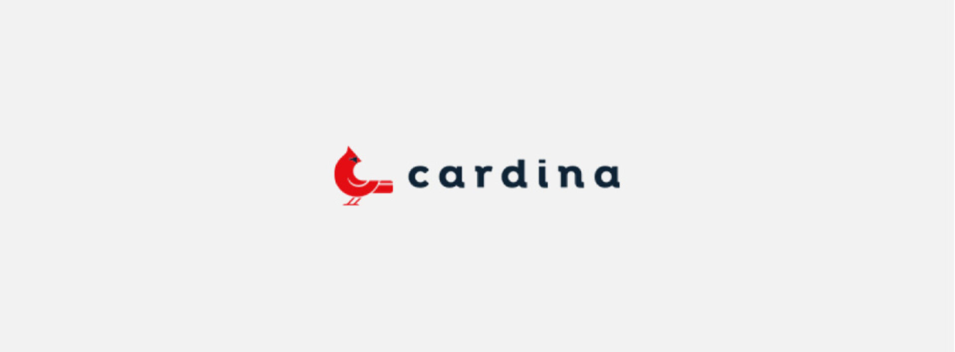 Cardina – sprawdziliśmy ofertę i opinie klientów