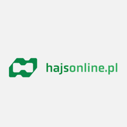 Hajsonline – opinie klientów i analiza oferty